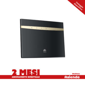Abbonamento linea Vodafone 2 mesi + noleggio Router 4G+ (AZIENDA)